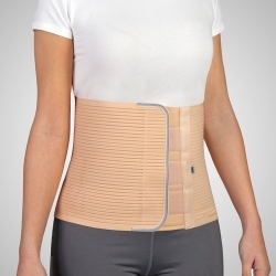 Fascia addominale | Tessuto...