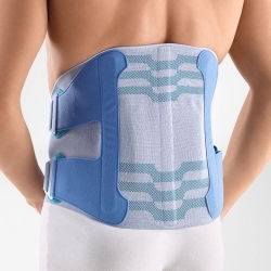 Fascia lombare | Struttura...