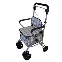 Deambulatore carrello della...