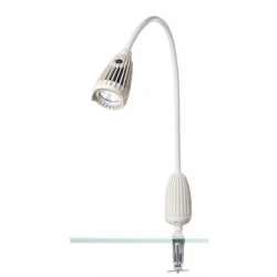 intestazione Luminaria e il...